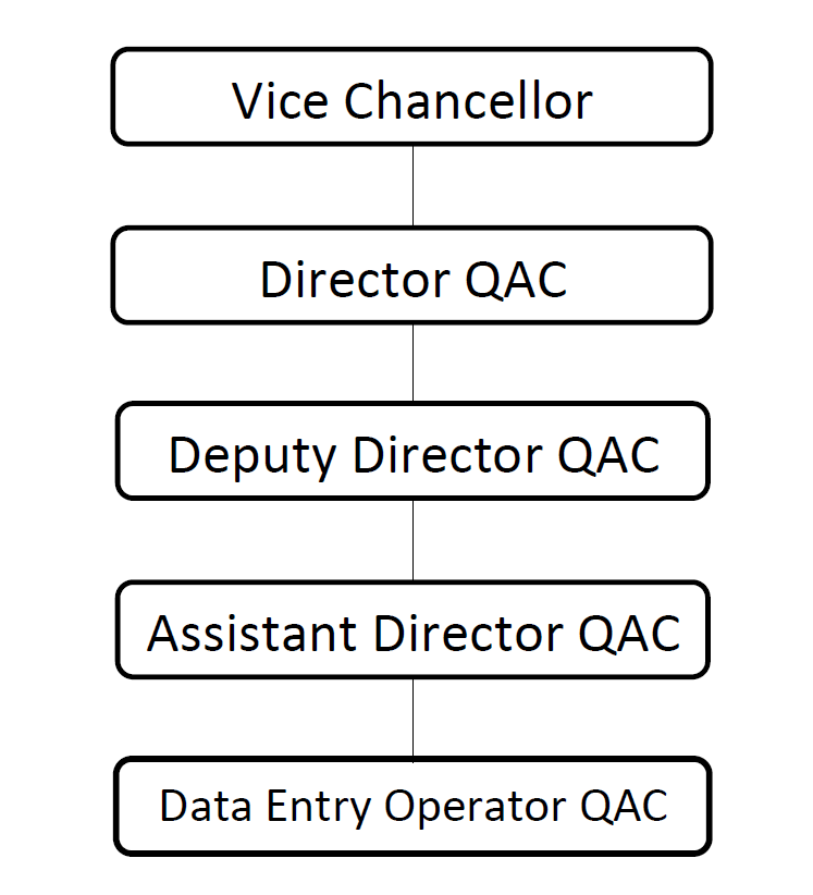 Organizational Structure